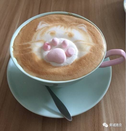南昌市猫咖_南昌猫咪咖啡厅_南昌猫咪咖啡馆