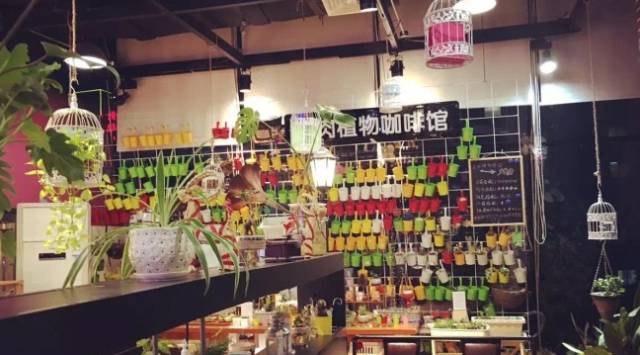 南昌猫咪咖啡馆_南昌猫咪咖啡厅_南昌市猫咖
