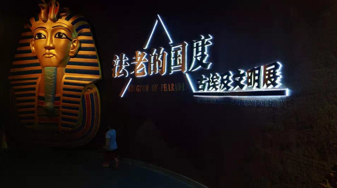 9岁孩子没有生活常识了_没有孩子的生活状态_没有生活孩子的是不是很紧