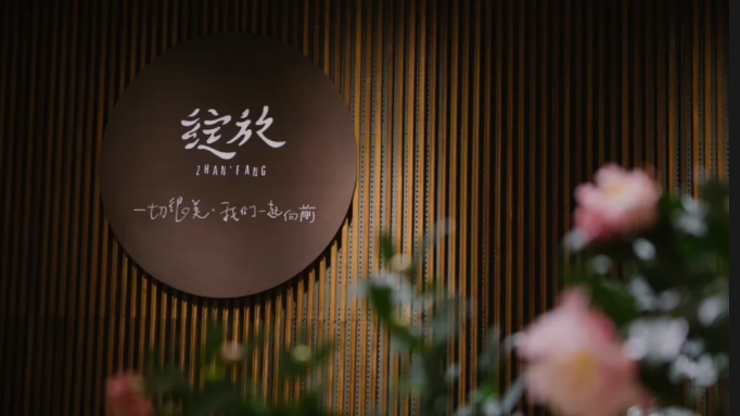 姐姐创业故事视频_创业姐姐的故事_姐姐创业的电视剧