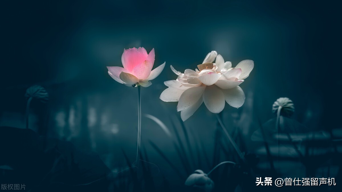 船上生活怎么样_生活中小船指什么_船上生活小技巧
