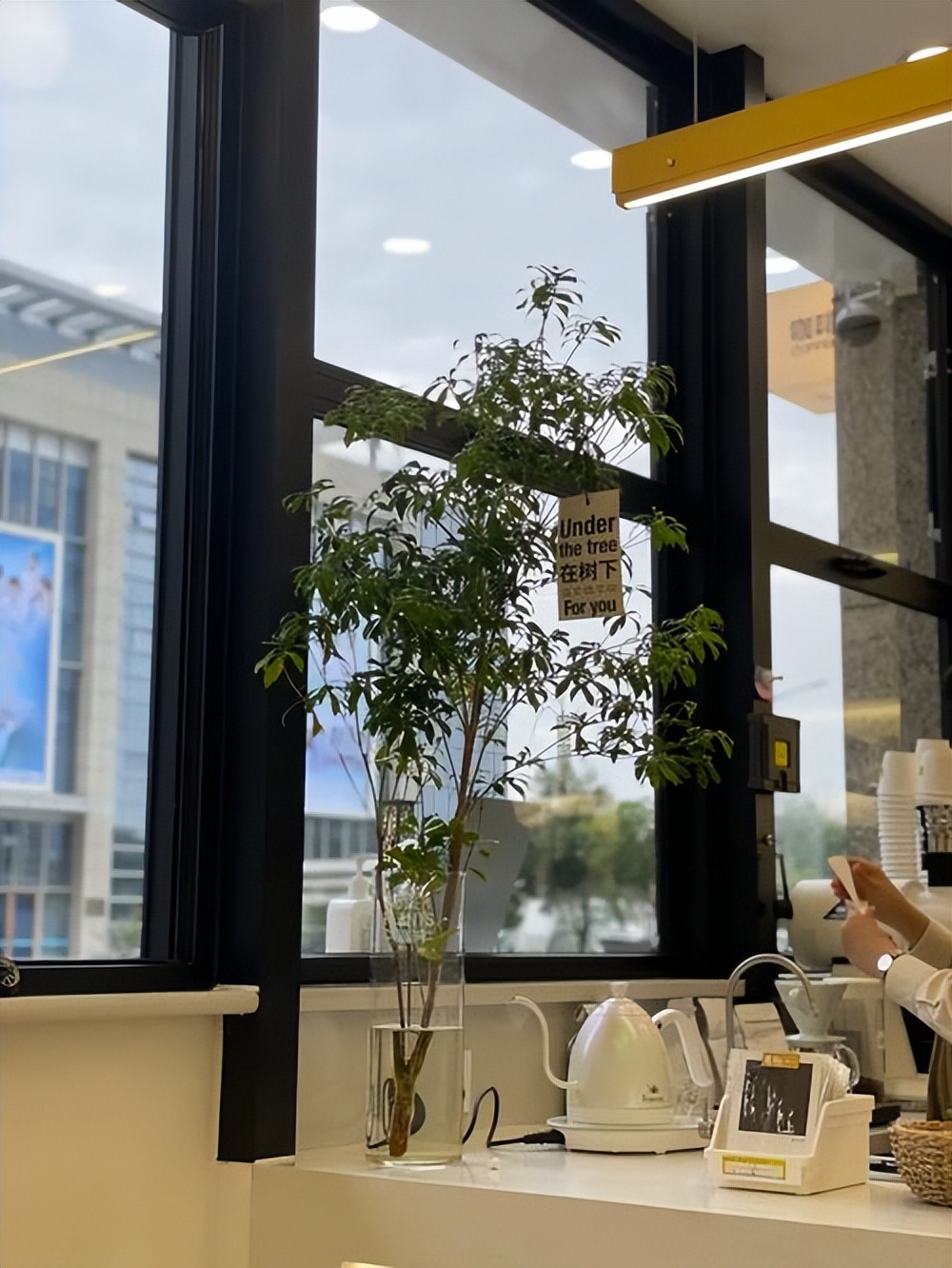 很老的台湾的经营咖啡厅游戏_台湾咖啡馆装修风格_台湾的咖啡馆