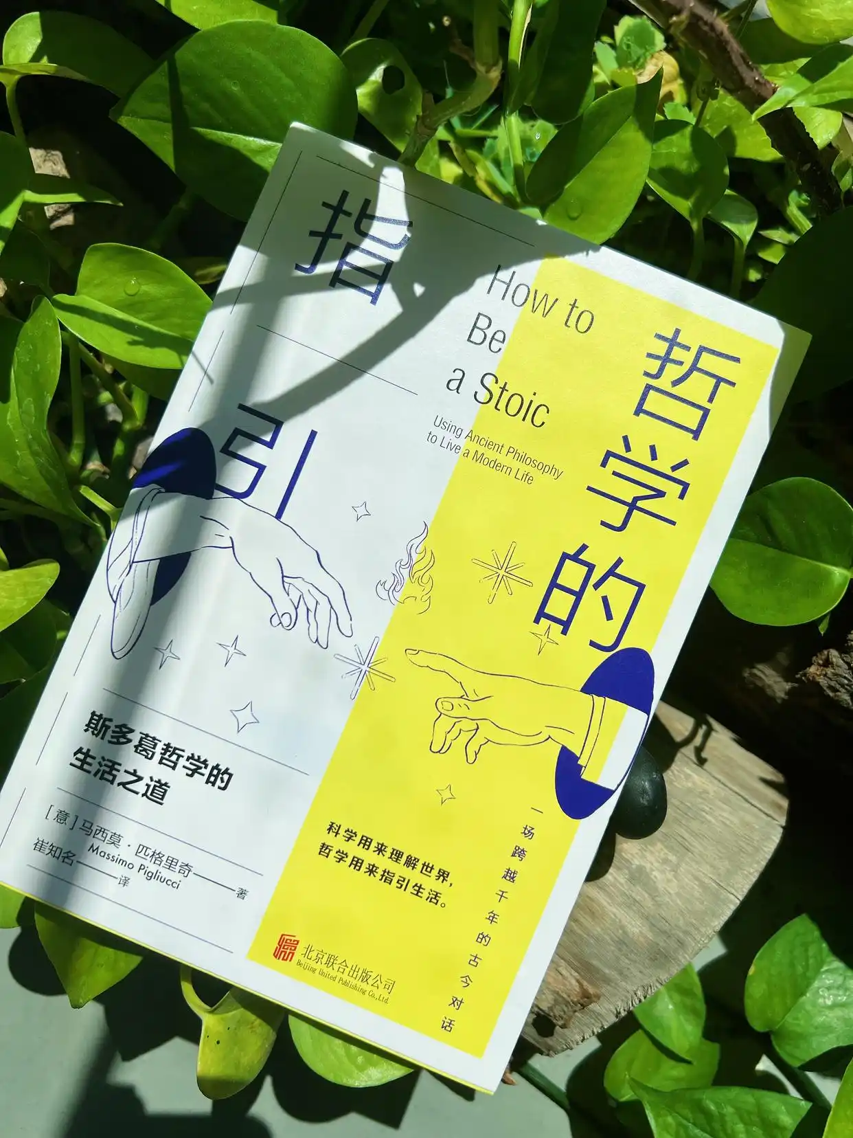哲学技巧生活中的问题_哲学生活方法论_生活哲学技巧
