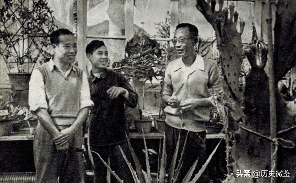溥仪下半生_溥仪后半生的生活趣事_溥仪生活展