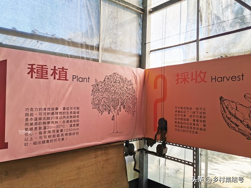 农场点心摊_摆摊点心_农场路边小摊攻略