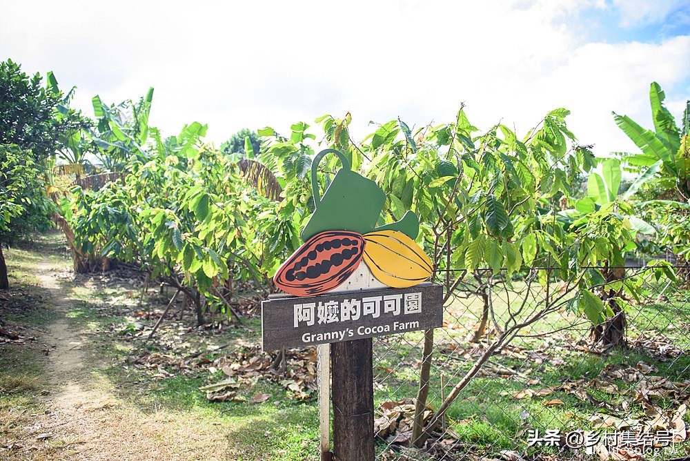 农场路边小摊攻略_摆摊点心_农场点心摊