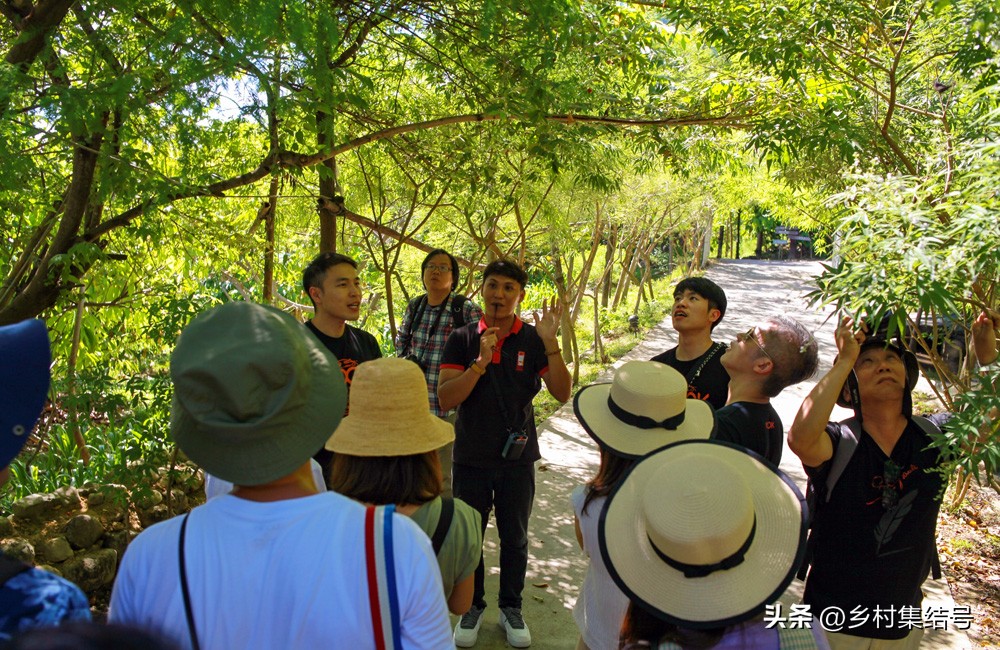 农场点心摊_摆摊点心_农场路边小摊攻略