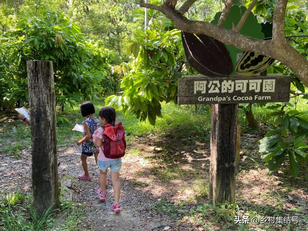 农场点心摊_农场路边小摊攻略_摆摊点心