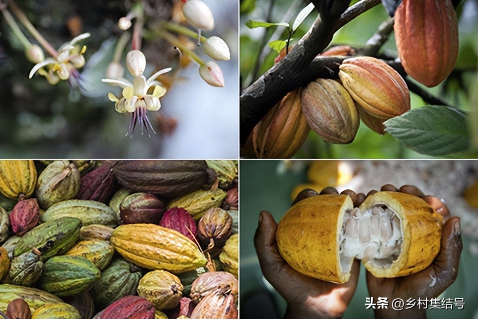 农场路边小摊攻略_摆摊点心_农场点心摊
