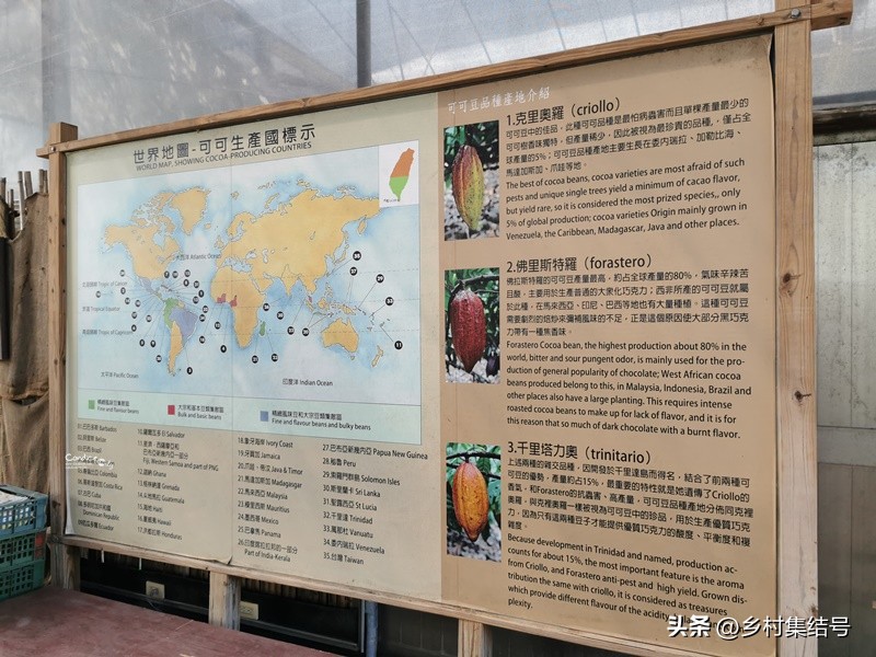 摆摊点心_农场点心摊_农场路边小摊攻略