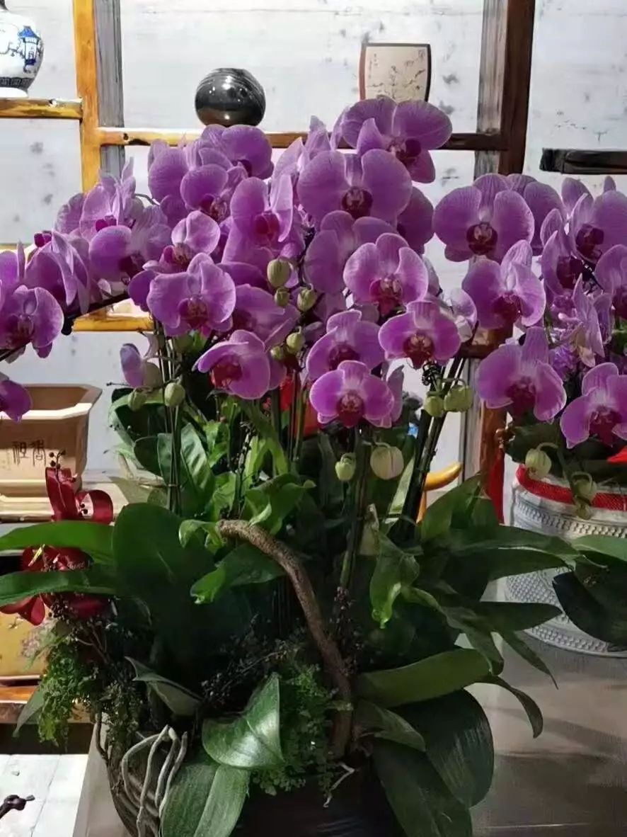 糕点脱模用什么油_蛋糕模具脱模油_糕点托模油