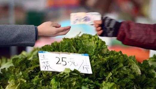 老年人数字化生活调查报告_老年人数字化生活方式调查_老年人数字化生活现状调查