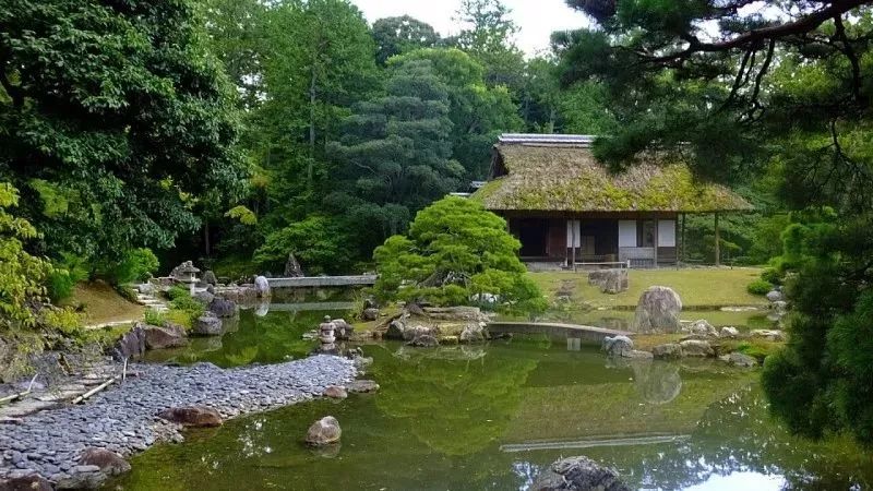 茶淀茶西村人口钱多钱给_茶西町菜单_西村茶餐厅