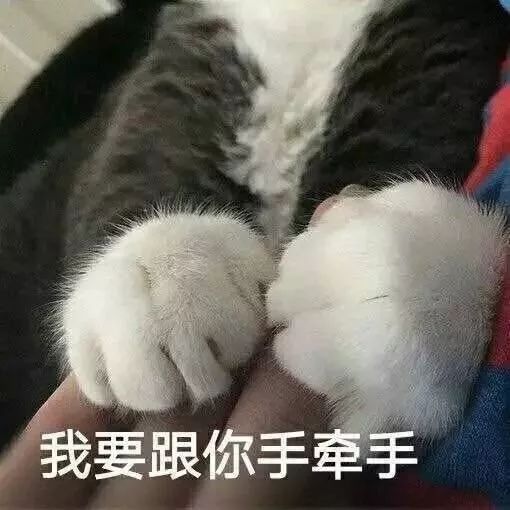 企鹅直播电竞助手_企鹅电竞直播不了_企鹅直播电竞pc版下载