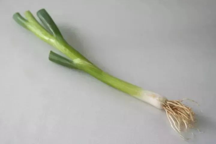 洋葱常用西餐食谱_西餐常用洋葱_西餐洋葱