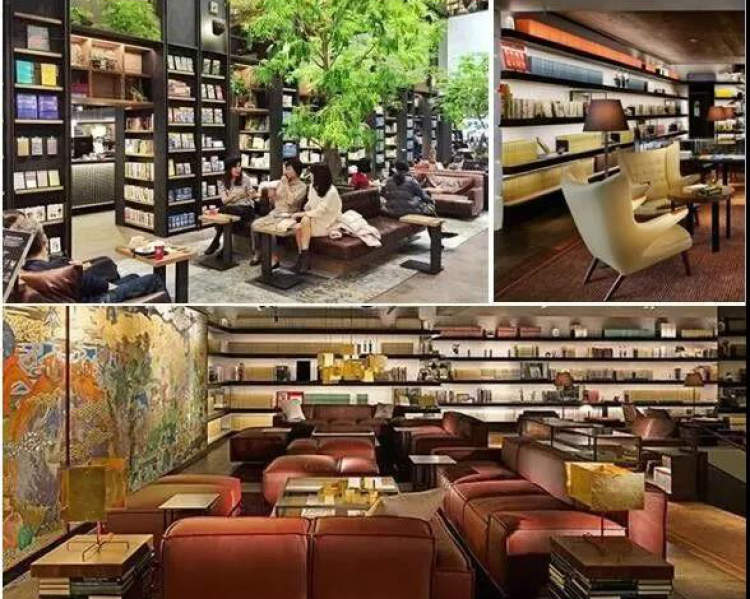 最美的咖啡店_最美咖啡馆_临港最美咖啡厅在哪里