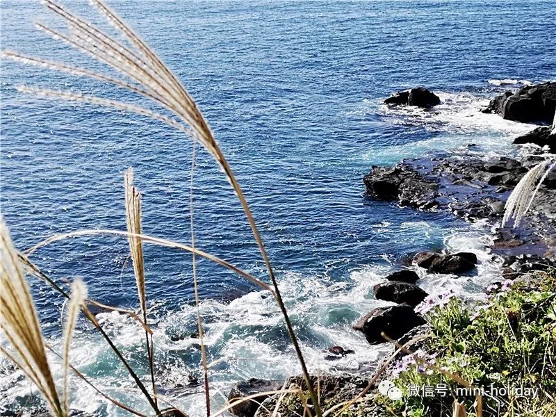 咖啡馆浪漫馆_咖啡浪漫_浪漫咖啡屋