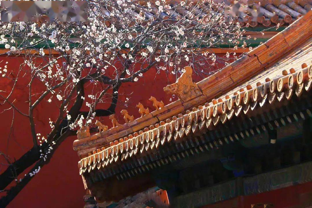 春节小糕点_春节糕点的寓意_春节小甜点