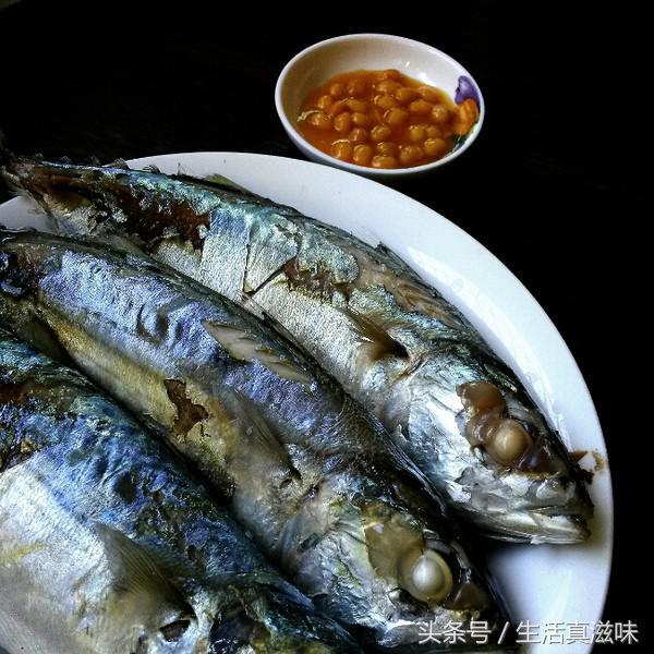 美食潮汕特色_美食潮汕的美食_潮汕美食最全