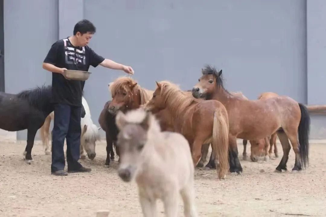 于谦父亲的生活趣事_于谦父亲视频_于谦的父亲讲究生活