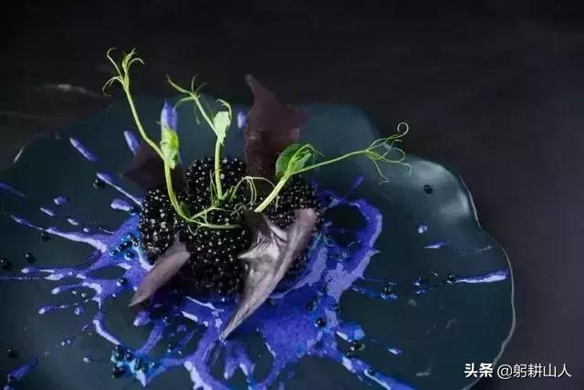 分子料理美食_分子料理美食_分子料理美食