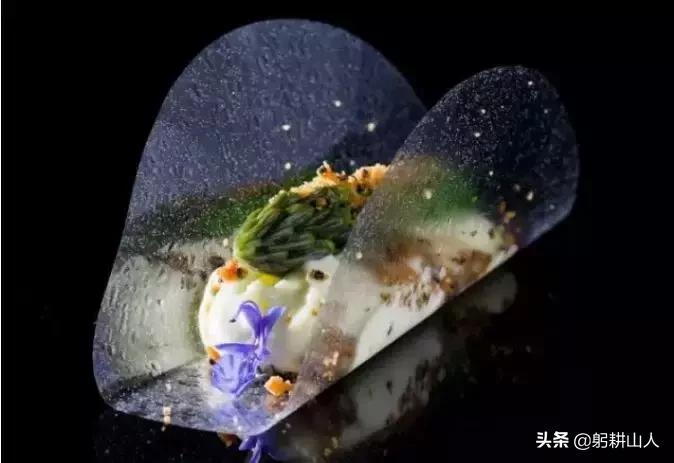 分子料理美食_分子料理美食_分子料理美食