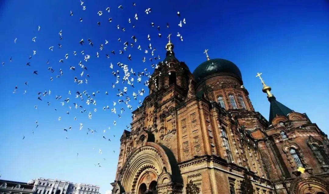 早餐餐厅西马迭尔怎么做_马迭尔西餐厅招牌菜_马迭尔西餐厅的早餐